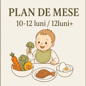 Plan de mese PDF